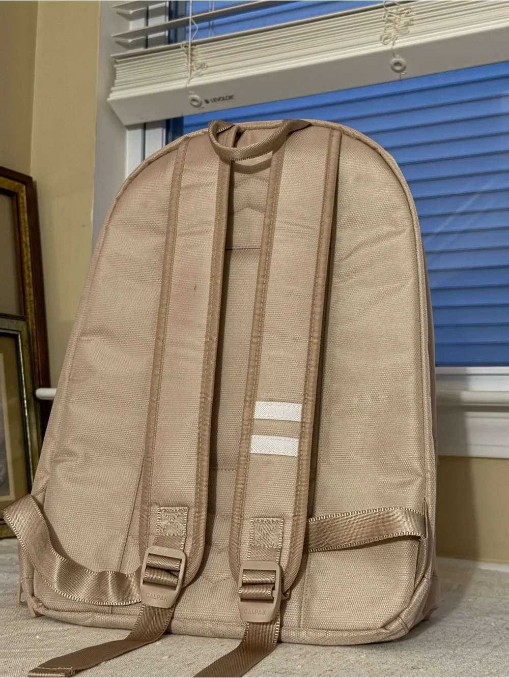 CALPAK Glenroe Nude Blush Laptop Travel Backpack